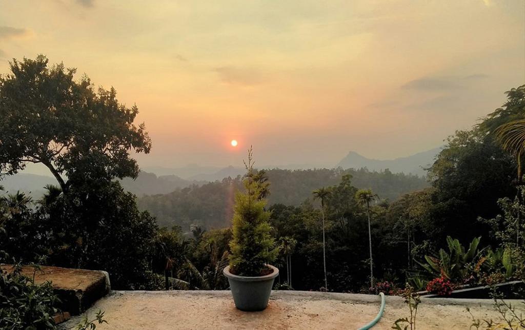 Munnar Heritage Cottage Eksteriør billede